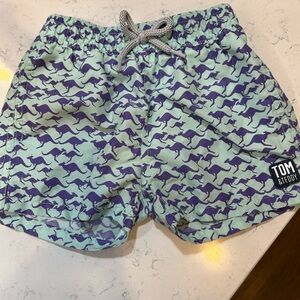 Tom & Teddy Kids Swim Shorts - Turquoise and Purple
